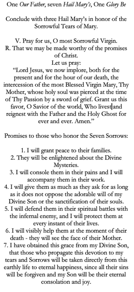 Seven Sorrows of Mary Catholic Chaplet (Mini)