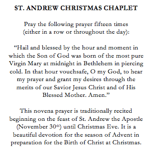 St Andrew Novena Chaplet